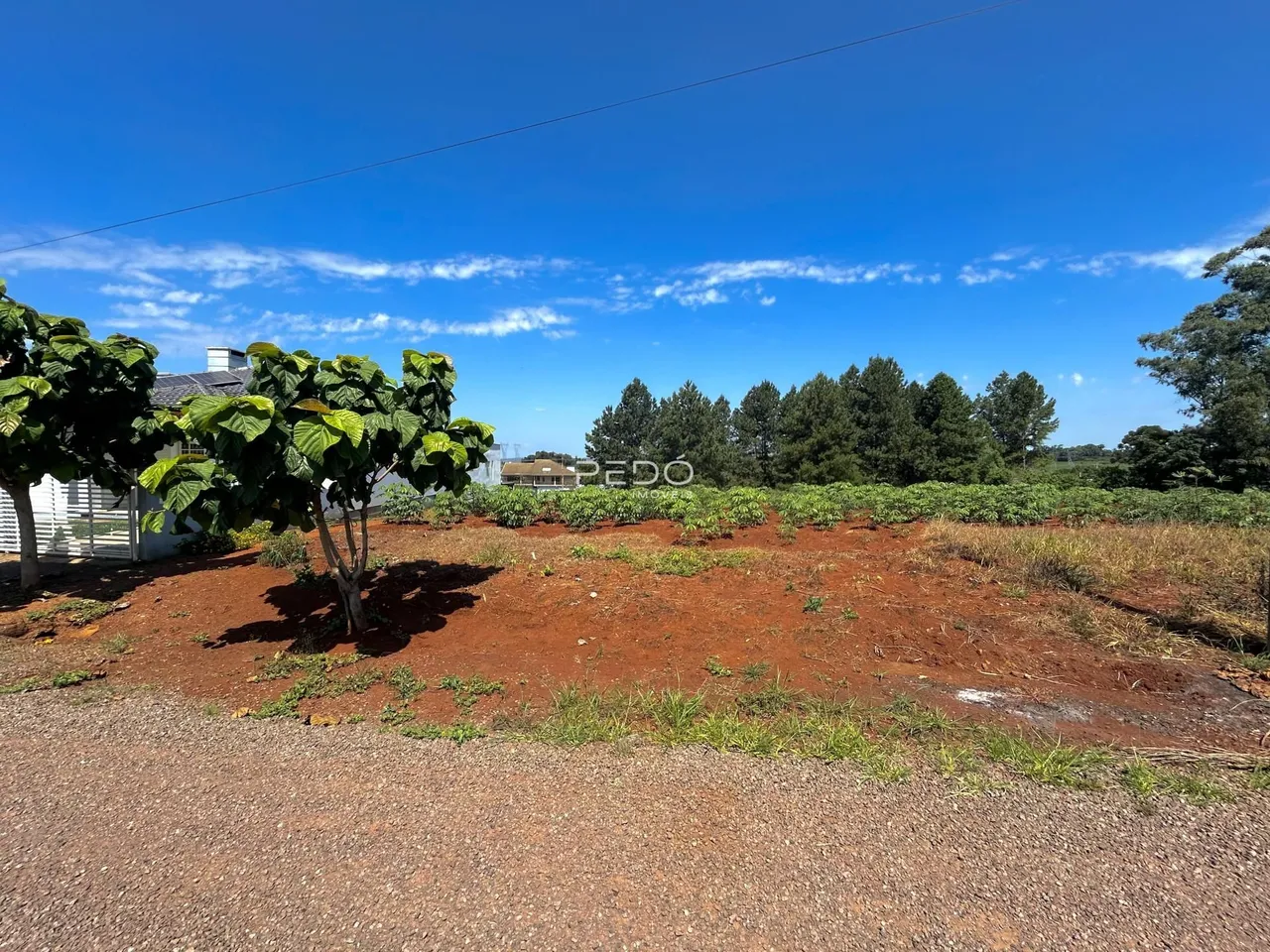 Paisagem de terra vermelha com vegetação e árvores sob um céu azul.