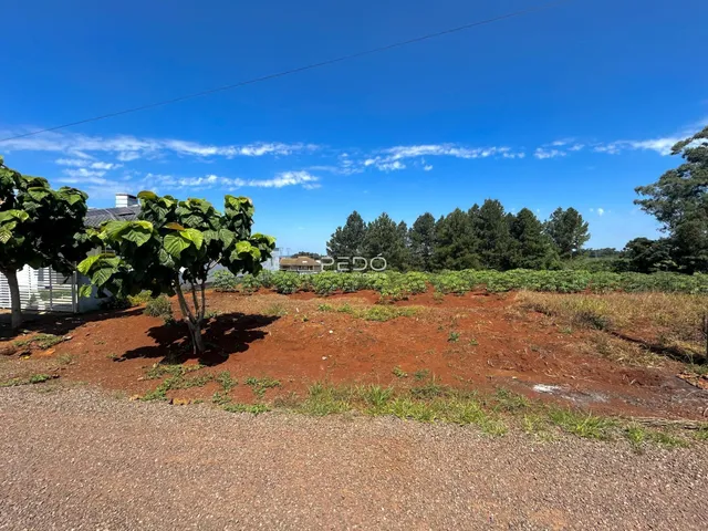 Paisagem de terra vermelha com vegetação e árvores sob um céu azul.