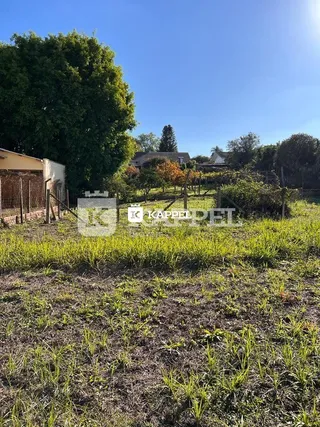 Paisagem externa com vegetação e árvores ao fundo.