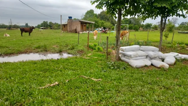 Área rural com 1 dormitório, foto 5