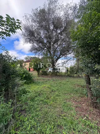 Área rural com 2 dormitórios, foto 10