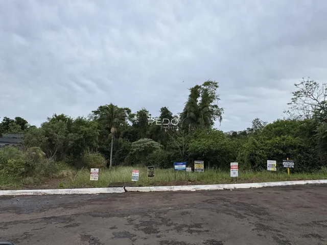 Terreno