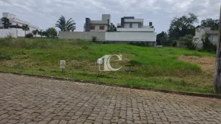 Terreno, foto 3