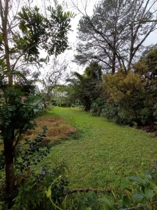 Terreno, foto 1