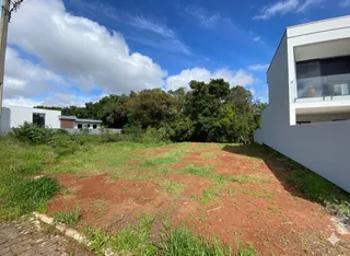 Vista de um terreno aberto com solo avermelhado e vegetação rasteira.