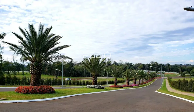 Terreno, foto 2