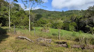 Vista de uma área verde com vegetação densa e colinas ao fundo.