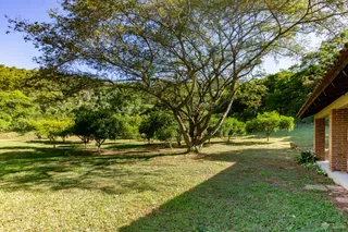 Área rural com 4 dormitórios, foto 39