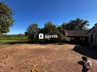 Vista externa de um terreno aberto com vegetação e uma estrutura rústica ao fundo.