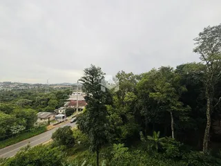 Vista de uma paisagem com vegetação densa e uma estrada no Brasil.