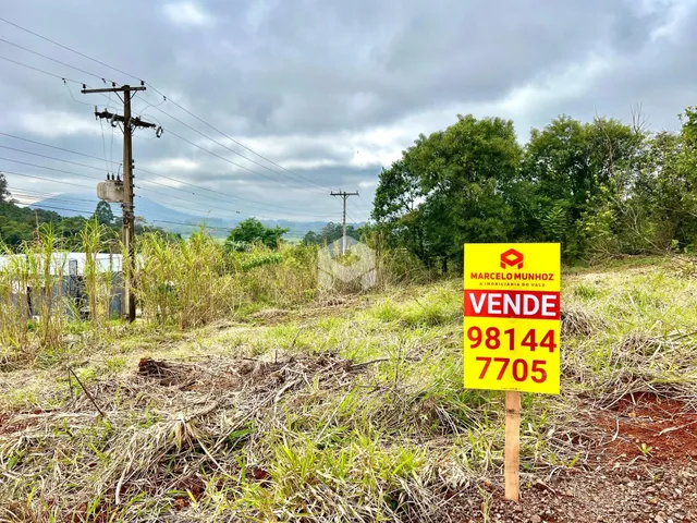 Foto da paisagem exterior de um terreno em Lajeado, Brasil com vegetação densa.