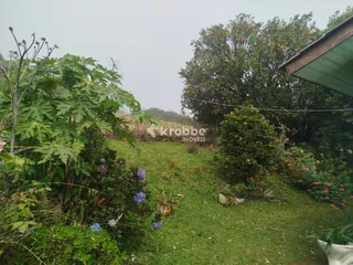 Área rural com 3 dormitórios, foto 12