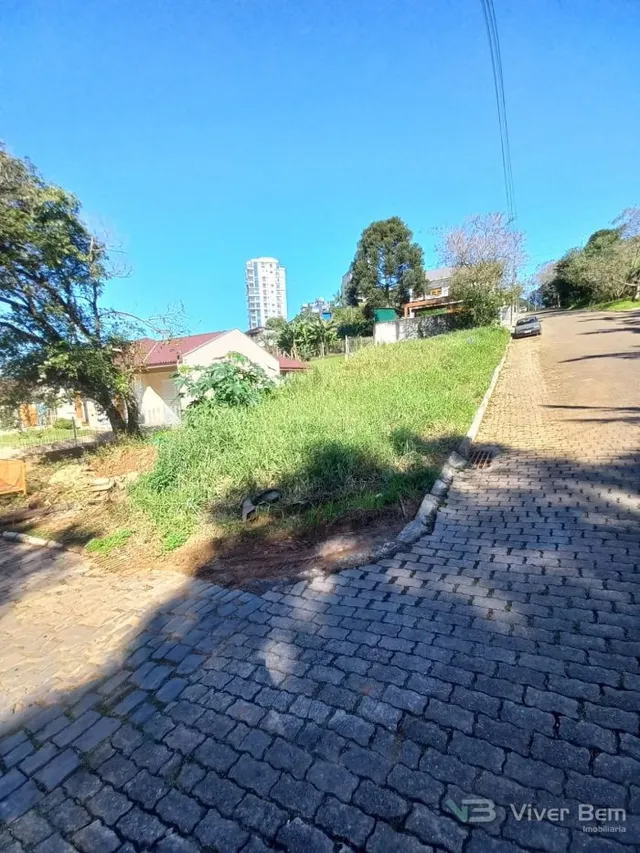 Terreno, foto 3