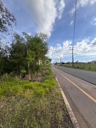 Vista da paisagem com vegetação e estrada em Lajeado, Brasil.