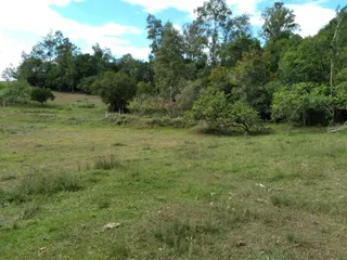 Área rural com 2 dormitórios, foto 15