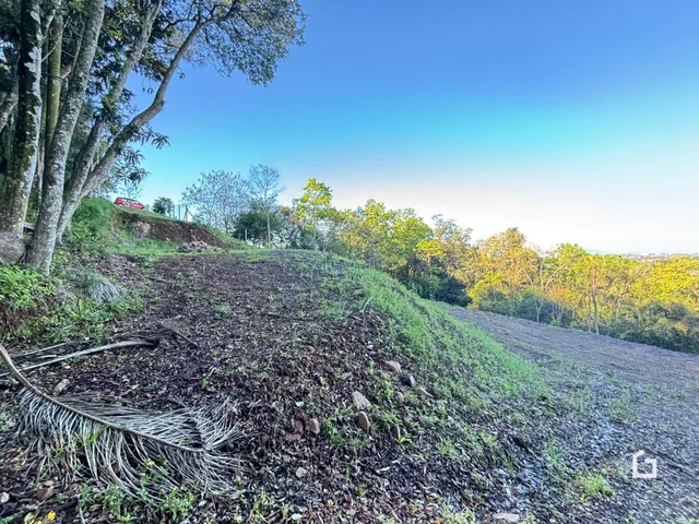 Terreno, foto 4