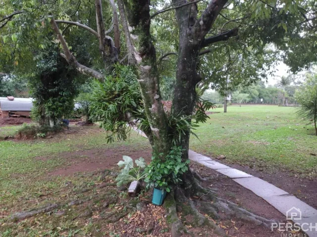 Foto externa mostrando árvores e gramado em uma área verde.