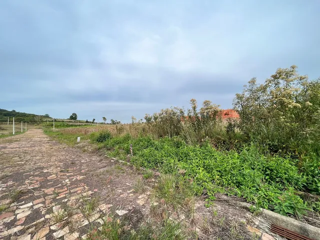 Terreno, foto 3