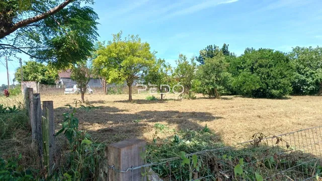 Vista externa de um terreno com vegetação seca e cerca de madeira.