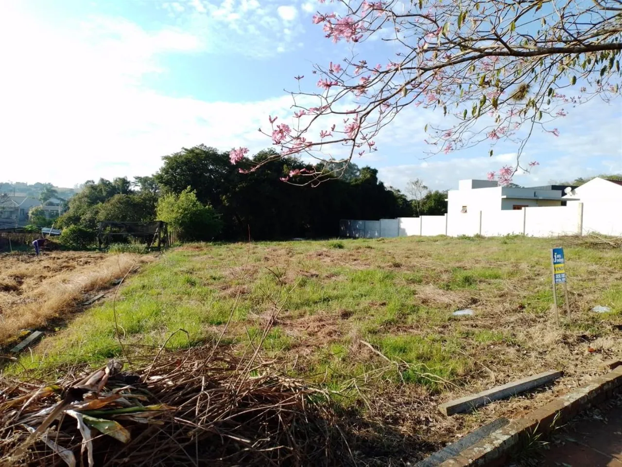 Terreno, foto 1