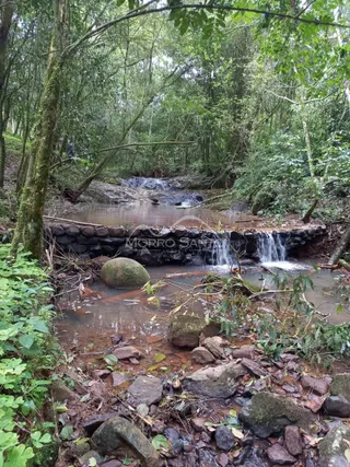 Vista de um riacho natural com pedras e vegetação densa na propriedade.