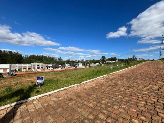 Terreno, foto 4