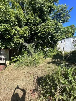 Casa com 3 dormitórios, foto 15