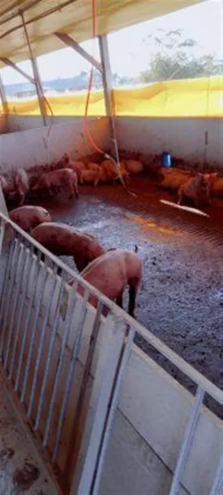 Área rural, foto 6