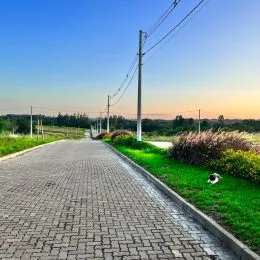Terreno, foto 11