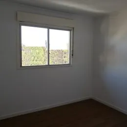Foto de uma janela mostrando vegetação externa em um ambiente interno.