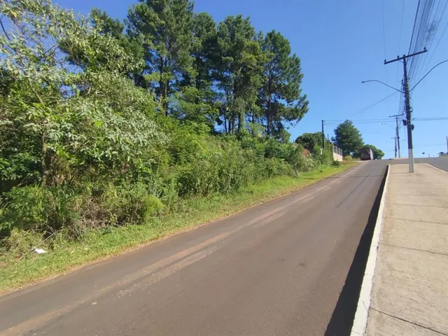 Terreno, foto 3