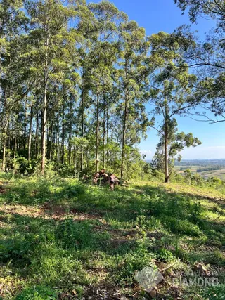 Área rural, foto 4