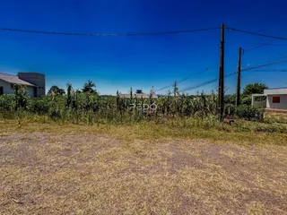 Vista externa de um terreno com vegetação seca e postes de energia.