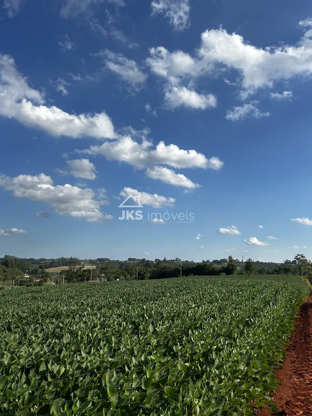 Área rural, foto 3