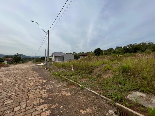Terreno, foto 2