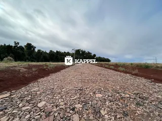 Uma paisagem de terra e pedras com árvores ao fundo.