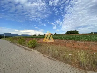 Terreno, foto 2