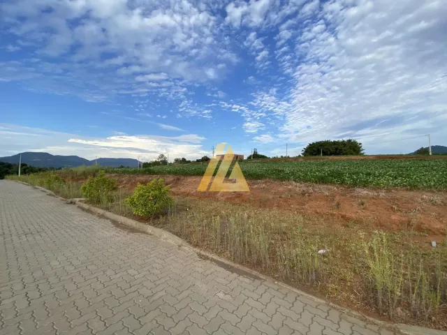 Terreno, foto 2