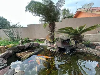Casa com 3 dormitórios, foto 44