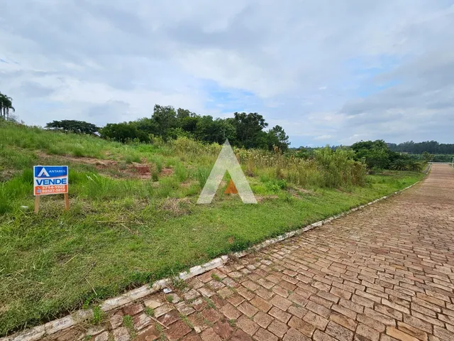 Terreno, foto 3