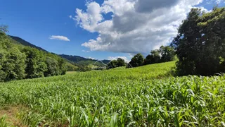 Área rural, foto 7