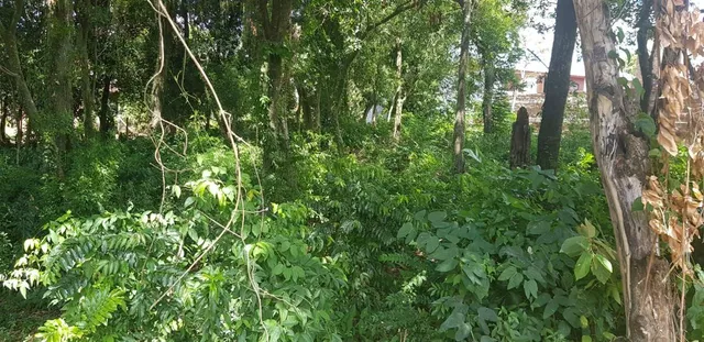 Terreno, foto 2