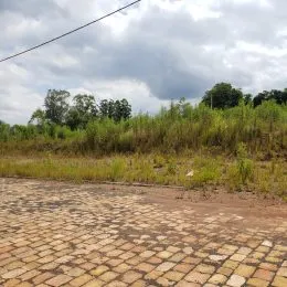 Vista de um pátio pavimentado com vegetação alta ao fundo.