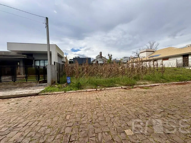 Terreno, foto 3