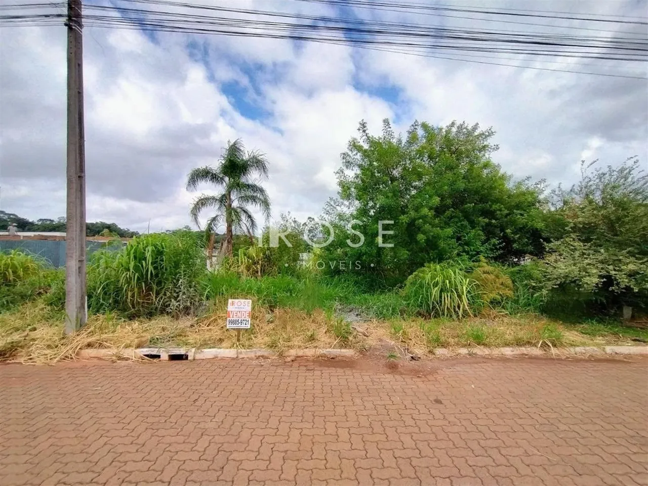 Terreno, foto 1
