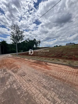 Vista da estrada de terra e vegetação ao redor de uma propriedade em Lajeado.