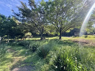 Área rural com 3 dormitórios, foto 5