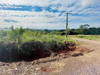 Vista de uma estrada de terra com vegetação densa ao fundo.