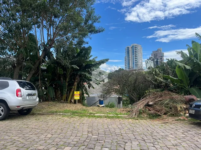 Vista da fachada de uma propriedade com vegetação densa e um prédio alto ao fundo.