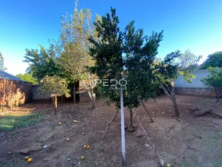 Vista externa de uma propriedade com árvores e solo de terra no Brasil.